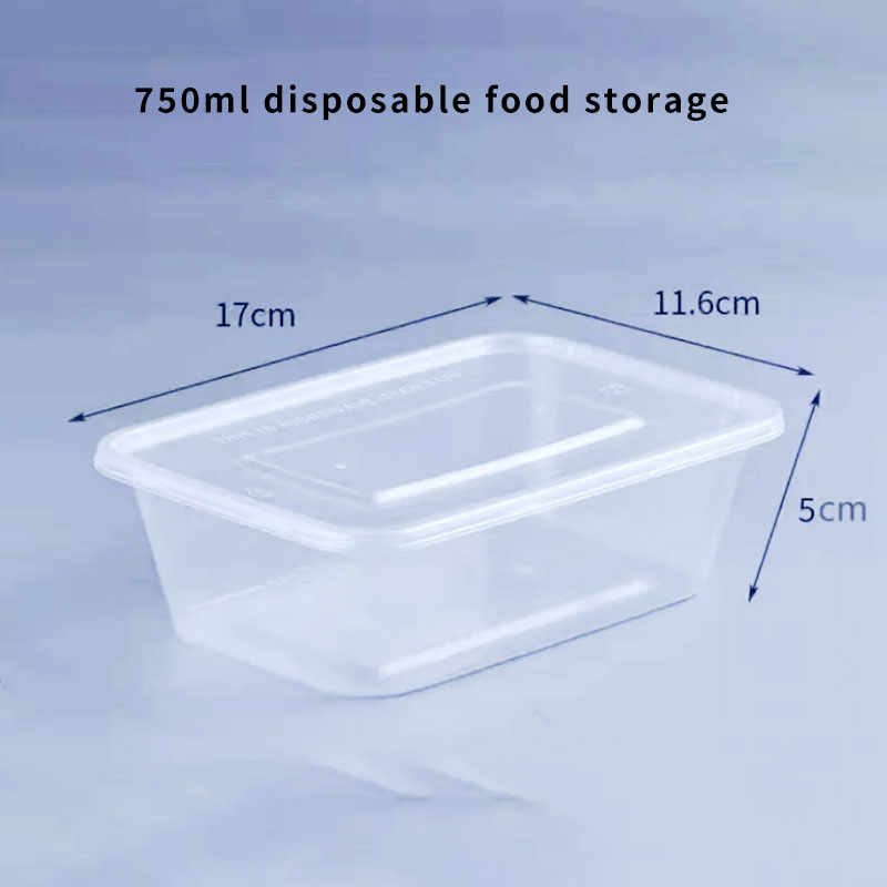 <strong>DISPOSABLE PP FOOD STORAGES</strong>